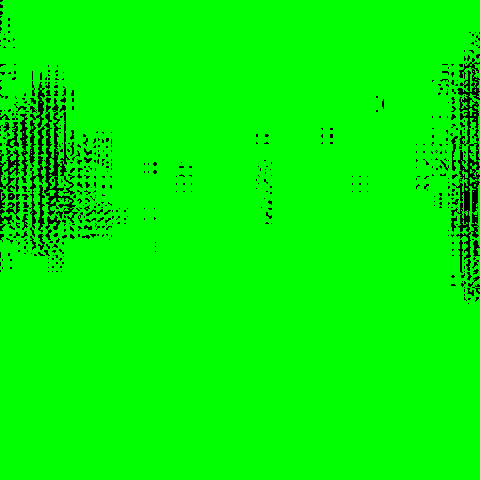 The review screen's display for a capture from the 113-bit run: a saturated green field broken by patches of black speckle.