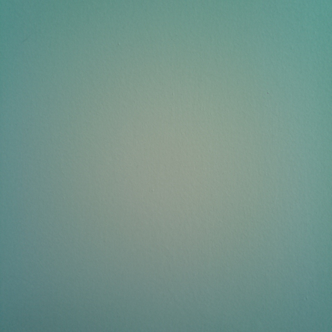 Second capture of the same wall, visually identical to the first.